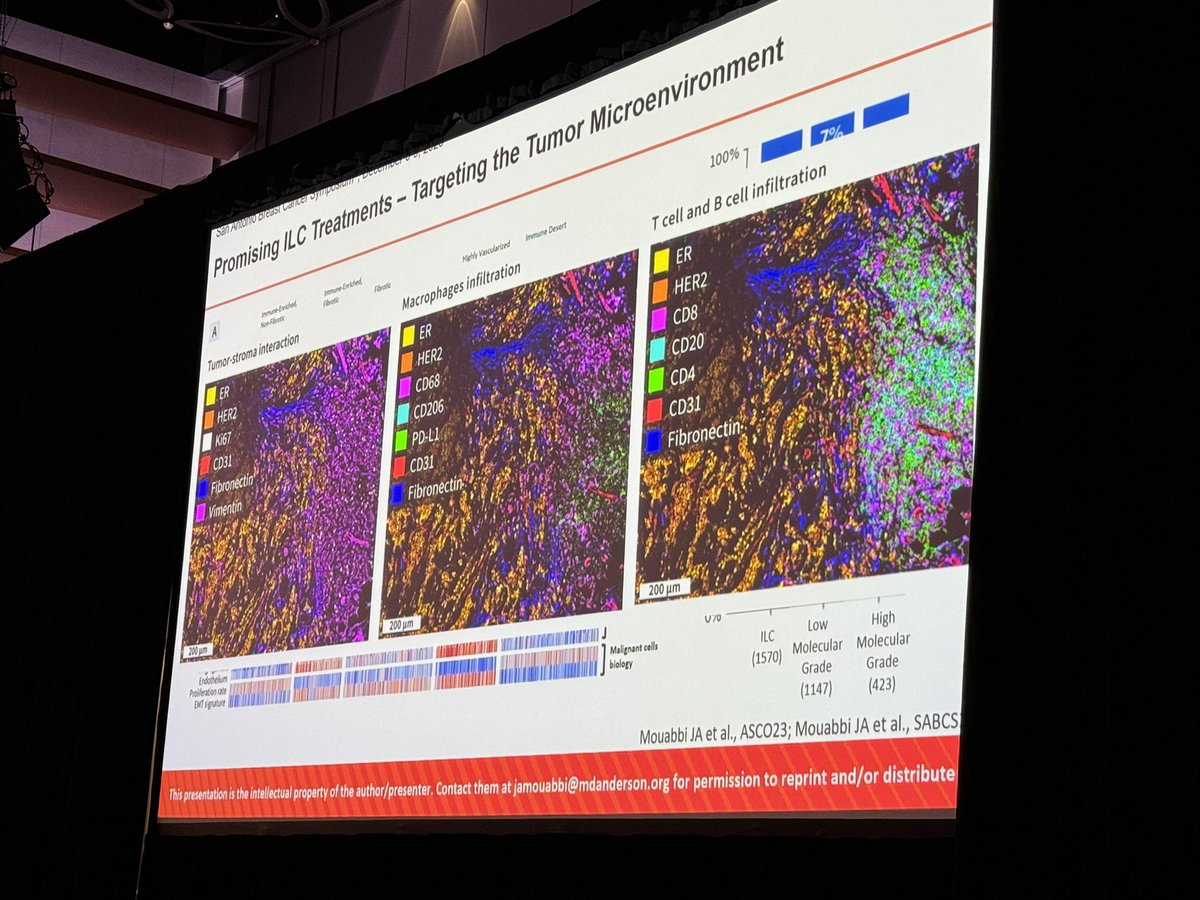 Vladimir Kushnarev tweet media