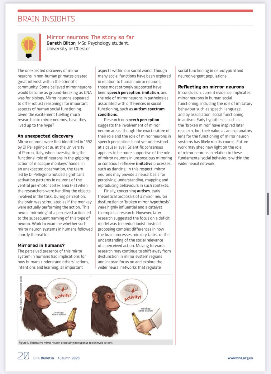garethbilton's tweet photo. Really enjoyed writing a short piece on mirror neurons for the @BritishNeuro bulletin - thank you for publishing it! #mirrorneurons #socialfunctioning #neuroscience #psychology https://t.co/dlcnUs1h0t