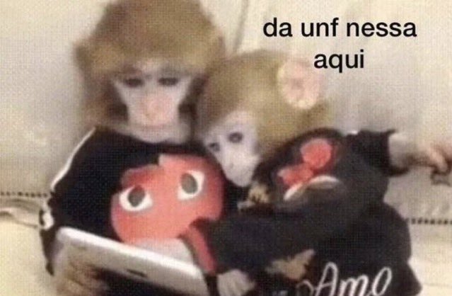 P*rra de cv mlq tu mora em apartamento carlho tweet media