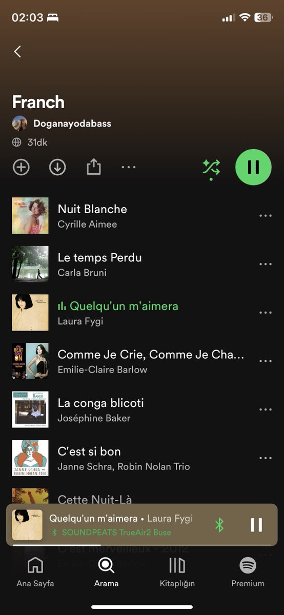 Sevgilimin bu playlist i asla dinlemediğine  yemin edebilirim ama kanıtlayamam shjdjdjdj