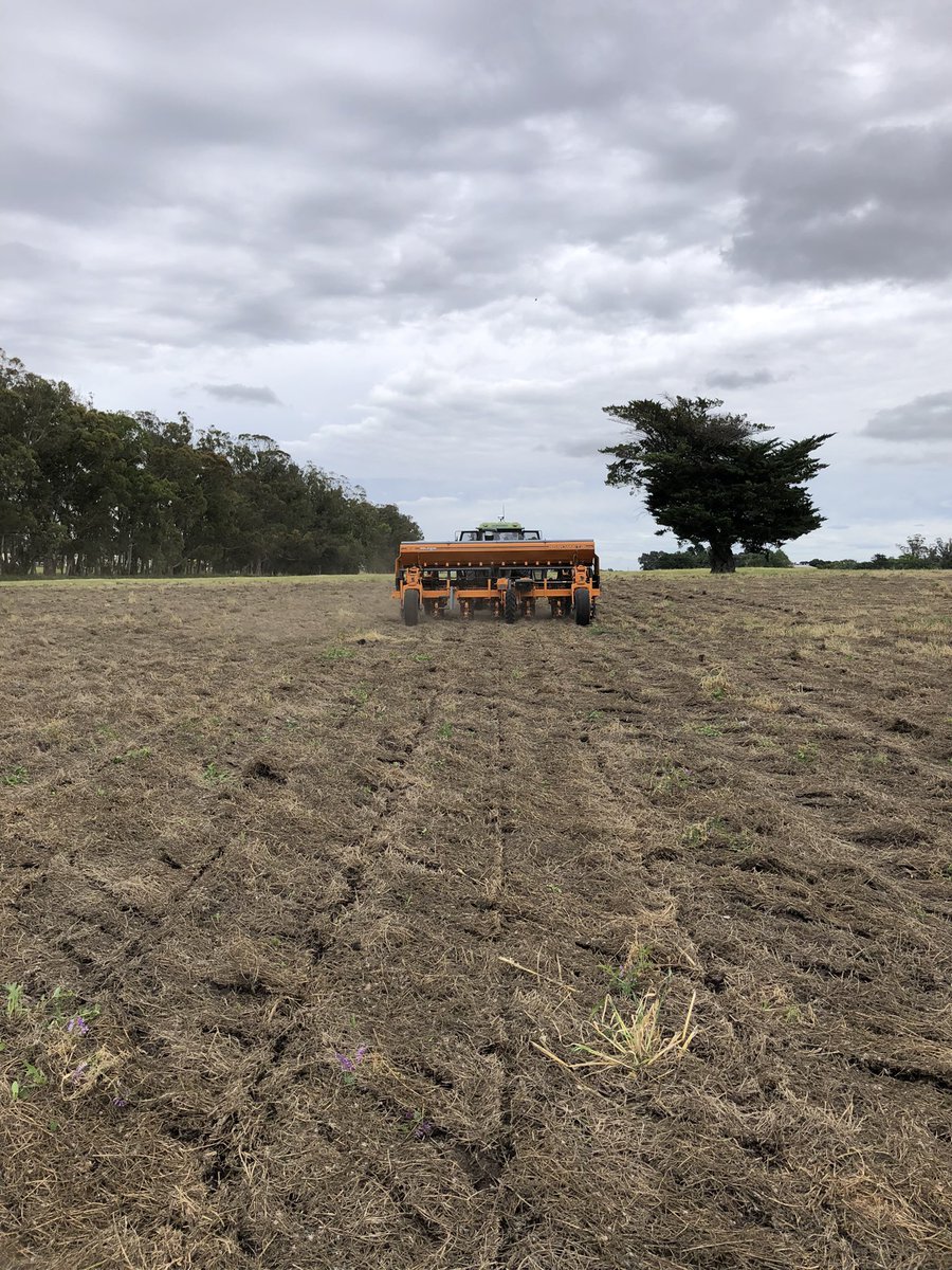 Ramiro M tweet media