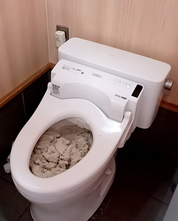 なにこれ