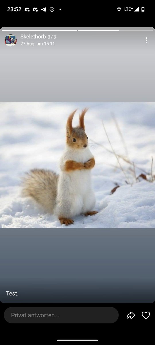 NFTs_web3➕ tweet media