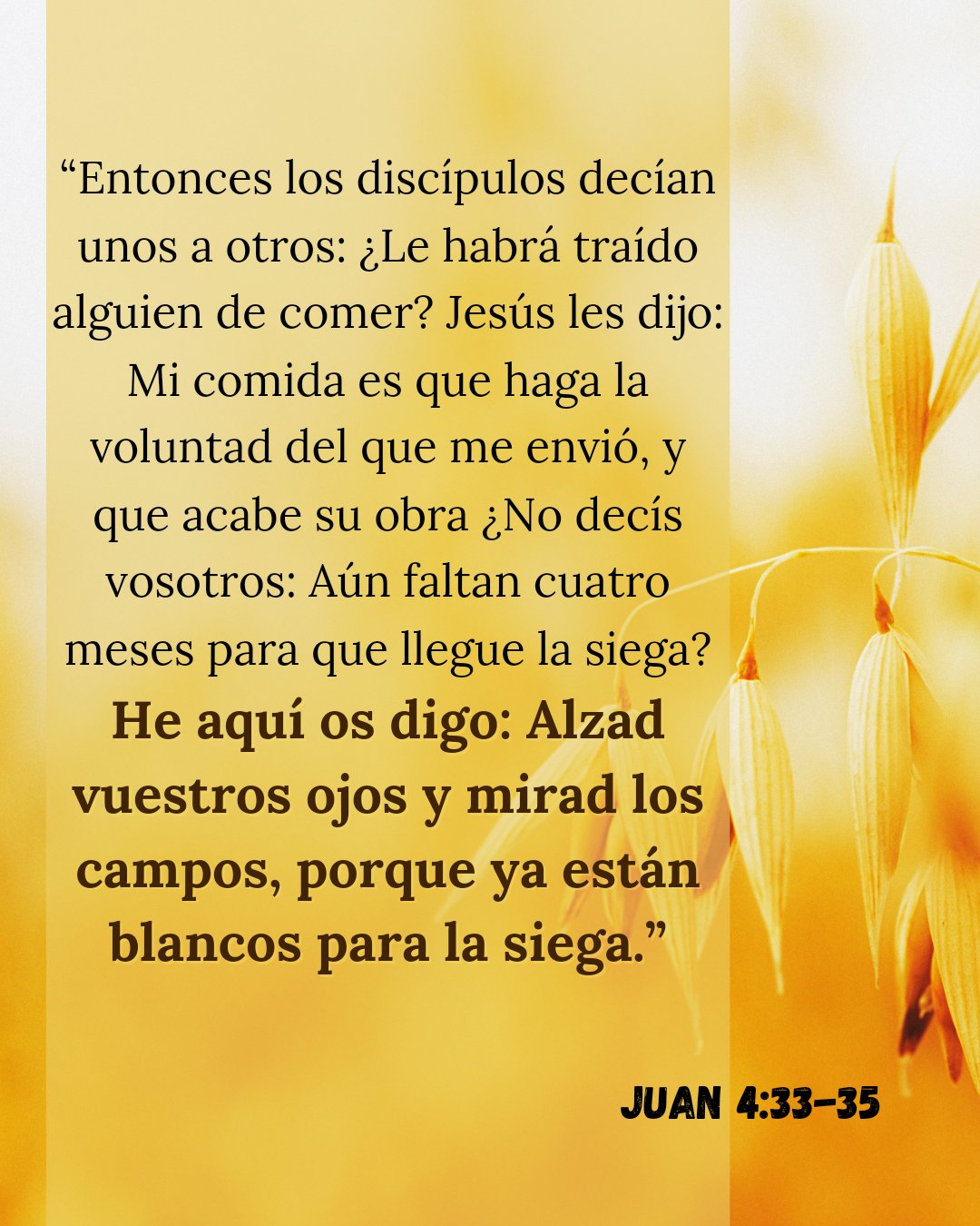 S. Juan 16:32-33 He aquí la hora viene, y ha venido ya, en que