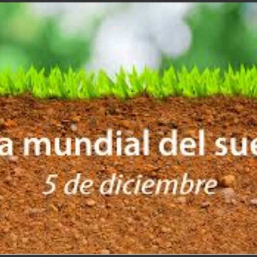 #EducacionMediaSuperior #suelos
#suelossanos #SuelosSaludables
Día Internacional de los Sueños.
@dmesantodominvc 
@FarinaEstevez 
@JefaEducativa
@Jenny96324990