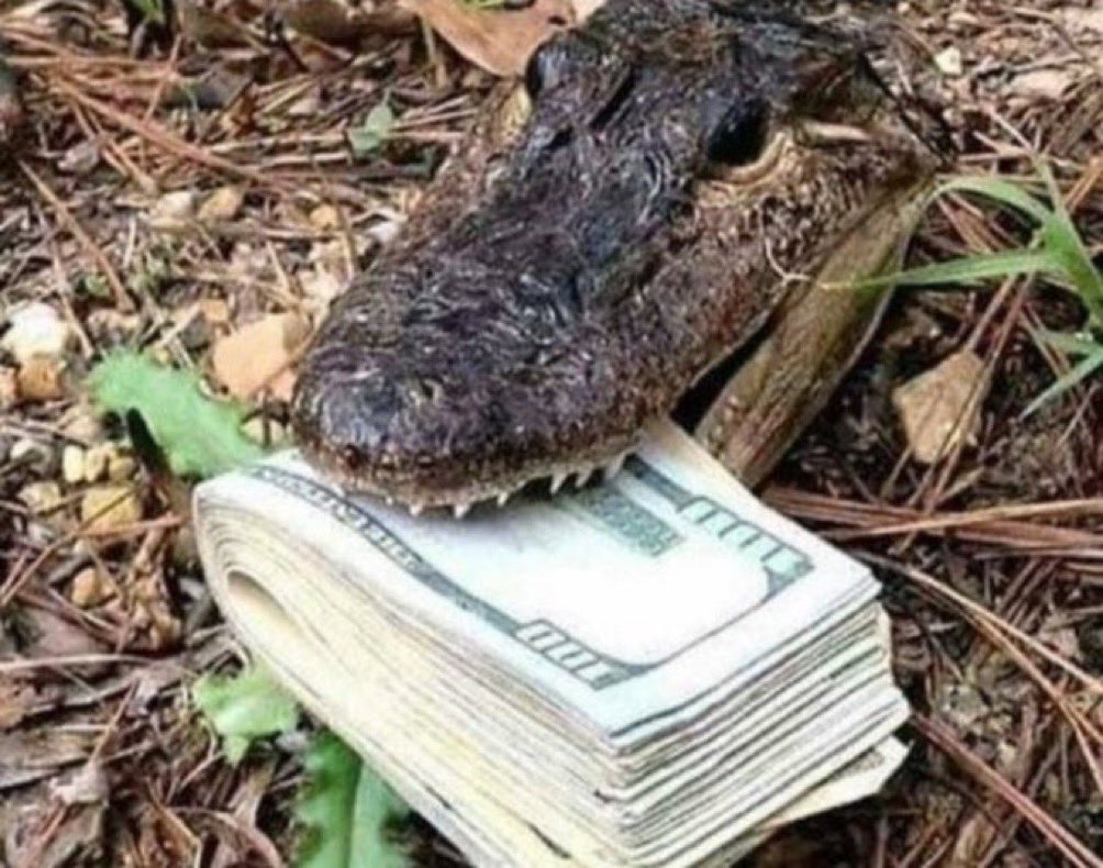 ElonMuskAOC's tweet image. What would you do in this situation?