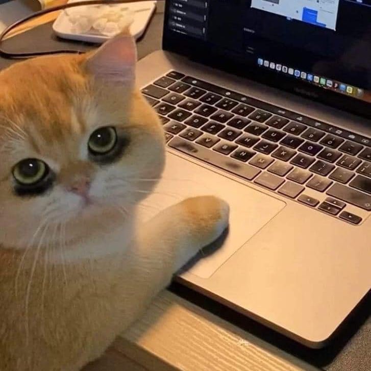 lostyouinmay's tweet photo. mood กุในทุกๆวัน : https://t.co/AmiQAjGFY0