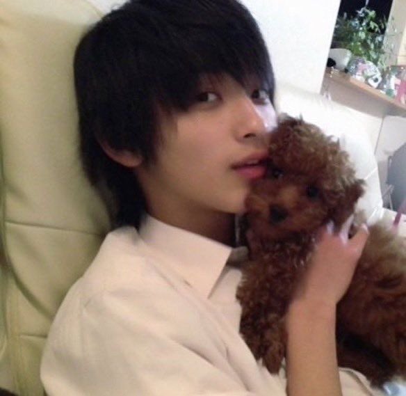 요코하마류세이 퍼컬은 
아기동물들