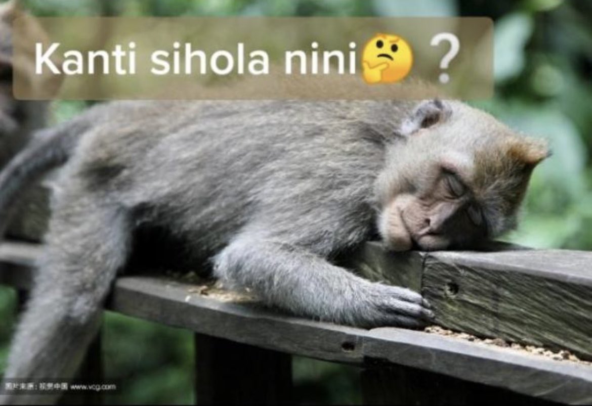 Mnisi95Sizwe's tweet photo. Soon someone is going to hack my account and ask for money , le mofeng😣😭💀 https://t.co/HSGD8ffjtQ