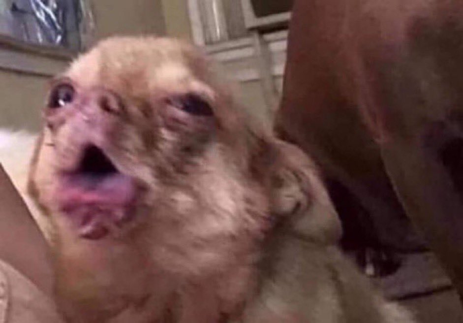 Me choking on my own saliva for no reason in my room