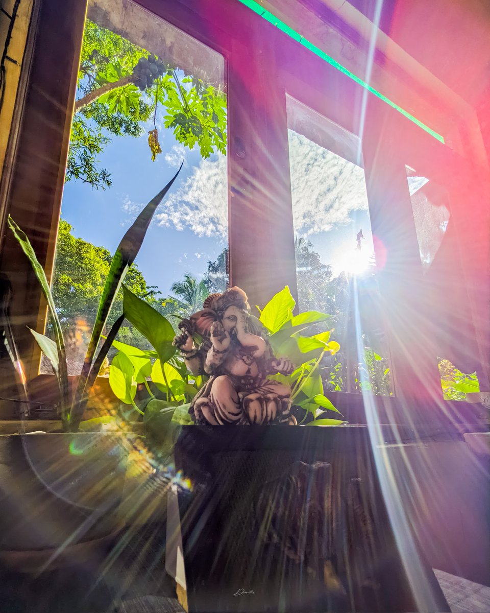 dasiya_98's tweet photo. May your morning be as radiant as the sunrise, bringing warmth and positivity to your day ✨️

Dasith's Cloudbay  | GraduationLk 
Dm or call for business inquiries 

#dasiya_98 #dasithscloudbay #GooglePixel  #mobilephotography #ganesh #morning #srilanka #hatton   #nature https://t.co/tW3iAVZ9eR