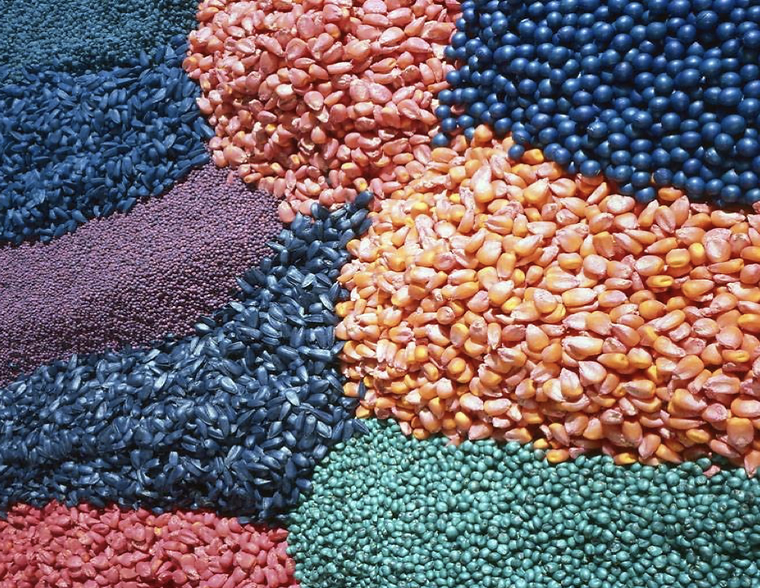 kmor_i's tweet photo. When neonicotinoids cause migratory songbirds to lose weight, it disturbs their natural migration cycle because their bodies aren't equipped to travel long distances. This is why we must ban the usage of this chemical in agriculture. #39canimals https://t.co/h2mrAhBKDl
