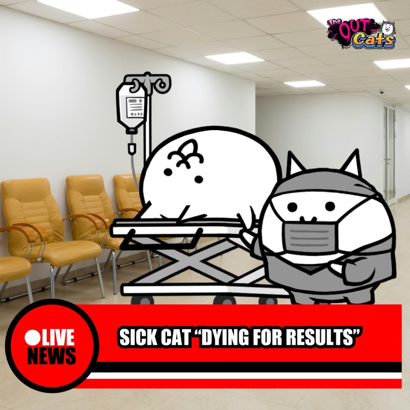 PONOS_EN's tweet photo. We caught up with Sick Cat in the waiting room! The doctor is going to be a while, but the results are coming soon...
Check back this time tomorrow for the official announcement of your #OutCats winner. Will Sick Cat FINALLY get some good news?#BattleCats #TheBattleCats https://t.co/ZUXPhAW99O