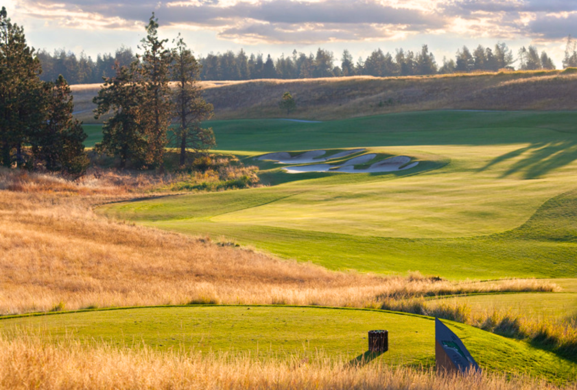 Golf courses are increasing in size because the golf ball goes farther!

Golf courses have to build a ton of new tee boxes because the golf ball goes farther!

ARE THESE STATEMENTS TRUE? 

They must be true....  Right????

Lucky for us the Golf Course Superintendent Association