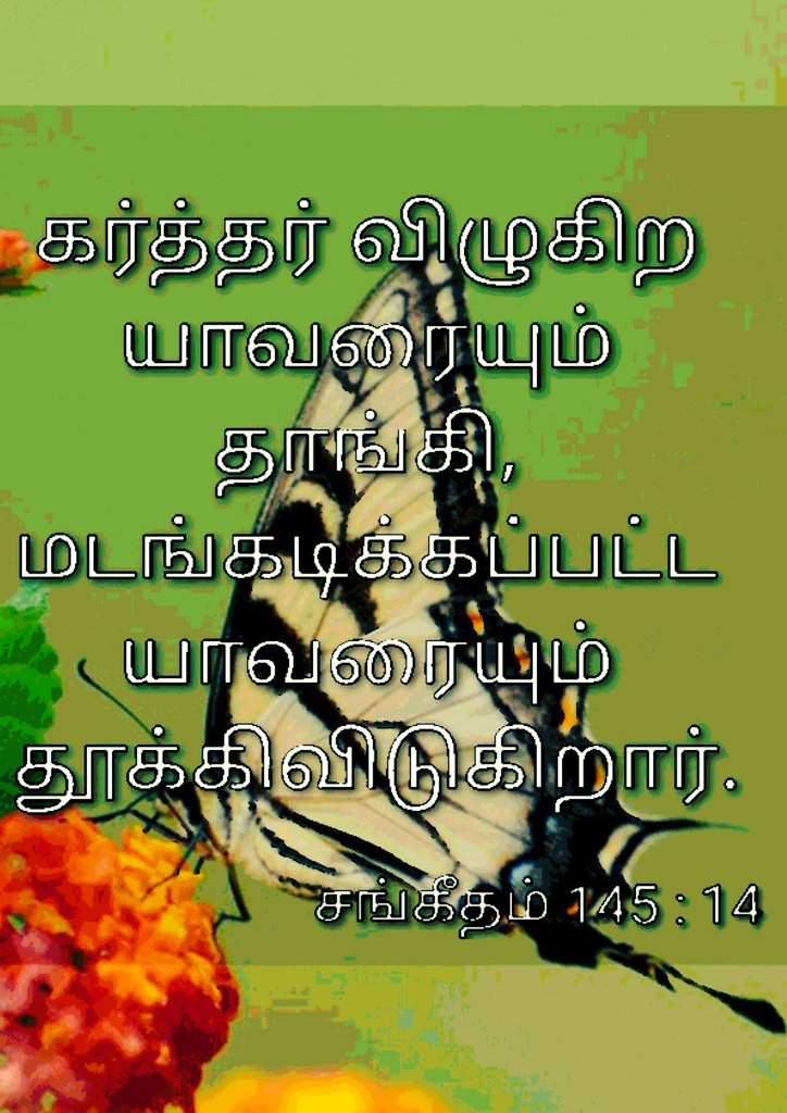 கர்த்தர். ..
#JUSTIN #TamilNadu #Tamilmemes #TamilNews #BiggBossTamil7 #BBTamil #bbtvi #SunNews #ThanthiTV #Dinamalar #JesusChrist #bibleverse #BREAKING