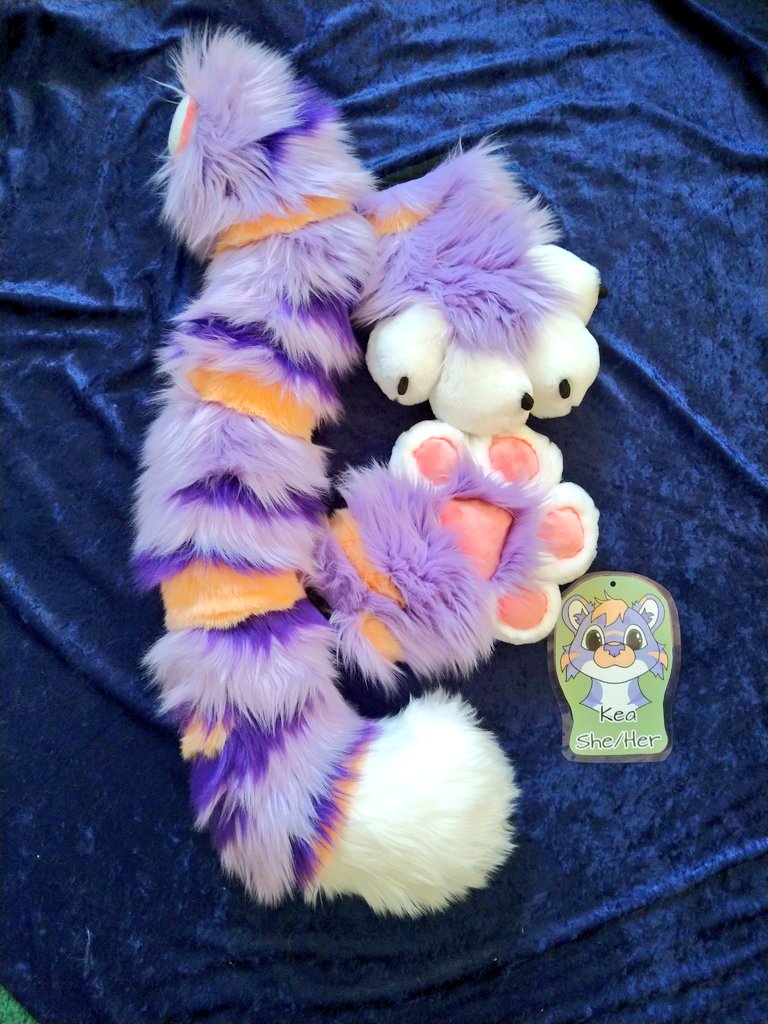 Splashy Paws Studio 🏳️‍🌈🏳️‍⚧️ tweet media