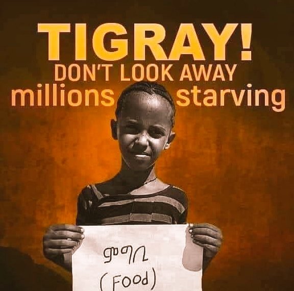 Humanityismyid1's tweet photo. ⚠️ while +7M people in Tigray are suffering by made famine,it has been #278days now since @WFP,@USAID are suspending humanitarian aid to #Tigray.We demand all humanitarian organizations to resume their aid to #Tigray & save million lives. #TigrayIsSuffering @PowerUSAID https://t.co/VOg2u1rF45