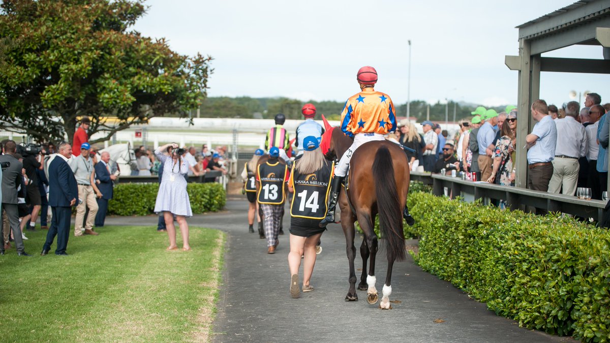 KarakaChat's tweet photo. Last weekend’s impressive black-type winners #JustAsSharp (NZ) (Swiss Ace) and #GlamourTycoon (Written Tycoon) have moved up the order of entry and likely secured spots in the starting gates for the $1.5m TAB Karaka Millions 3YO (1600m) at Ellerslie next month.🤩
Glamour Tycoon shares 15th place on the Karaka Millions 3YO order of entry with #LupoSolitario (NZ) (Satono Aladdin), who is the favourite for this Saturday’s $120,000 G3 Bonecrusher Stakes (1400m) @PukekohePark .🧐
NZ 1000 Guineas winner #MollyBloom (NZ) (Ace High) heads the order of entry with a rating of 84. Last year’s $1m Karaka Million 2YO (1200m) winner #TokyoTycoon (NZ) (Satono Aladdin) is just behind her in second, followed by the recent G1 second placegetters #Impendabelle (Impending) and #Talisker (NZ) (Embellish). Three horses share equal fifth place with a rating of 75 – #Zourion (NZ) (Zoustar), #ToCatchAThief (NZ) (U S Navy Flag) and #Trobriand (Kermadec).🙌
The TAB Karaka Millions 3YO will be run at Ellerslie on January 27, as part of a blockbuster twilight programme that also features the $1m TAB Karaka Millions 2YO (1200m) and the inaugural running of the $1m Elsdon Park Aotearoa Classic 4YO (1600m).💃
Read more📰: https://t.co/8qbrn7cJn4