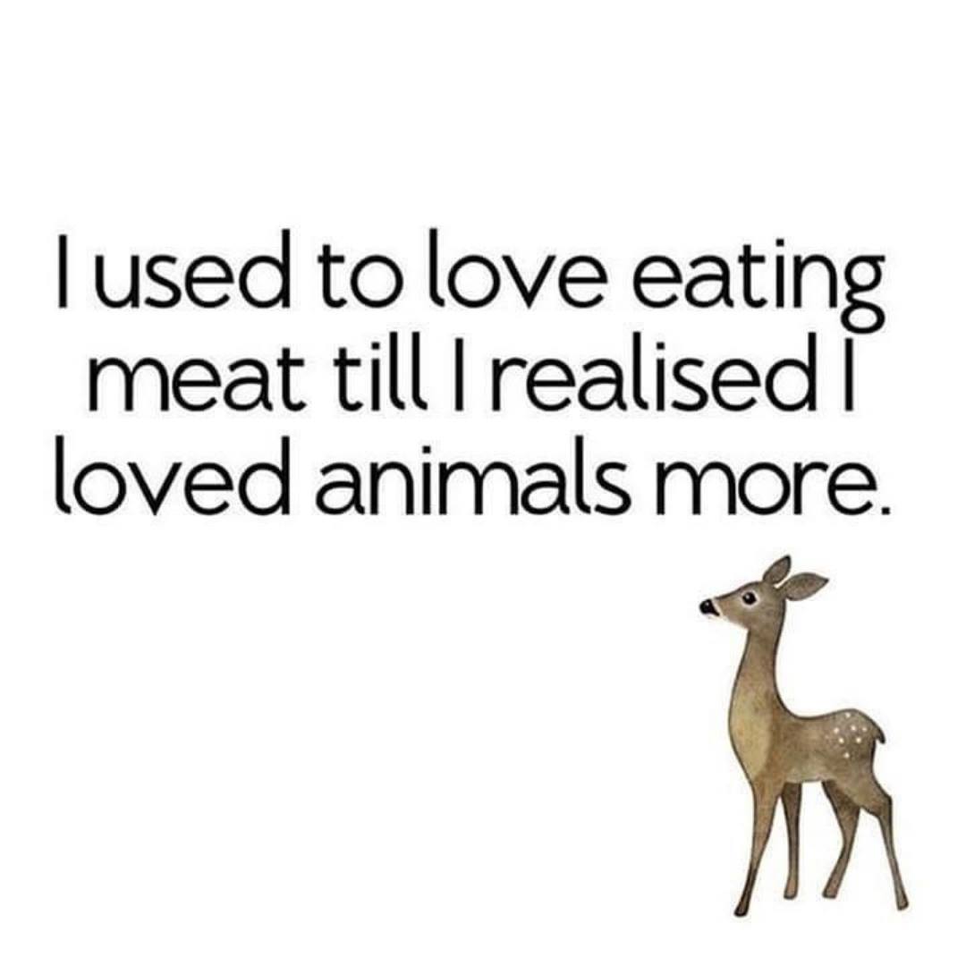 Comment YES if you've realized you love and care more for animals. #AnimalCruelty #GoVegan 🌱