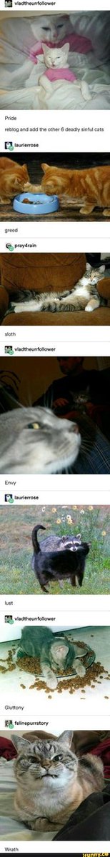 AndyMilam1's tweet image. #vladtheunfollower #reblog #add 
ifunny.co/picture/KUpafc…
#iFunny