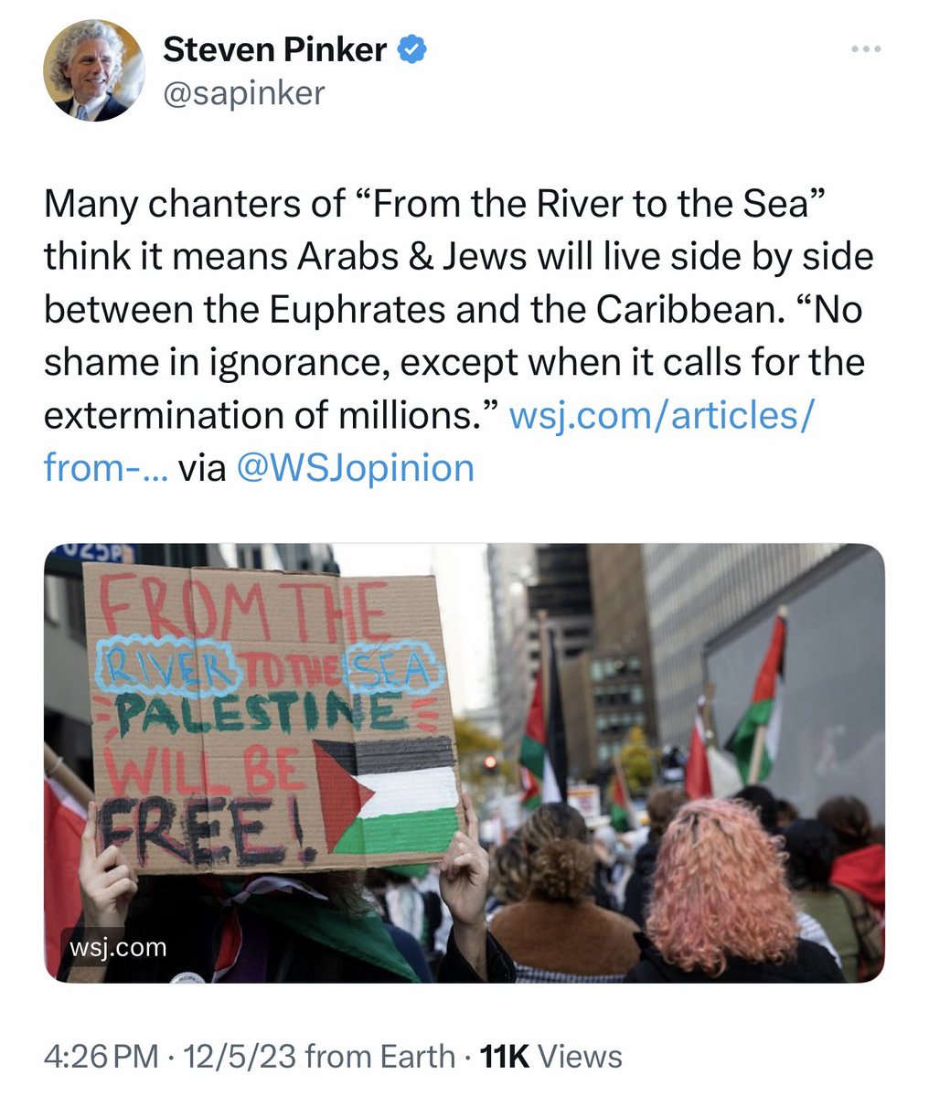 平克支持一个在伯克利研究犹太法律和以色列的以色列 人发表在华尔街日报的文章的说法，“从河到海，巴勒斯坦人将获得自由”这个口号的意思是要杀光几百万犹太人，不这么认为的是“无知”。平克号称还是著名语言 学家呢。