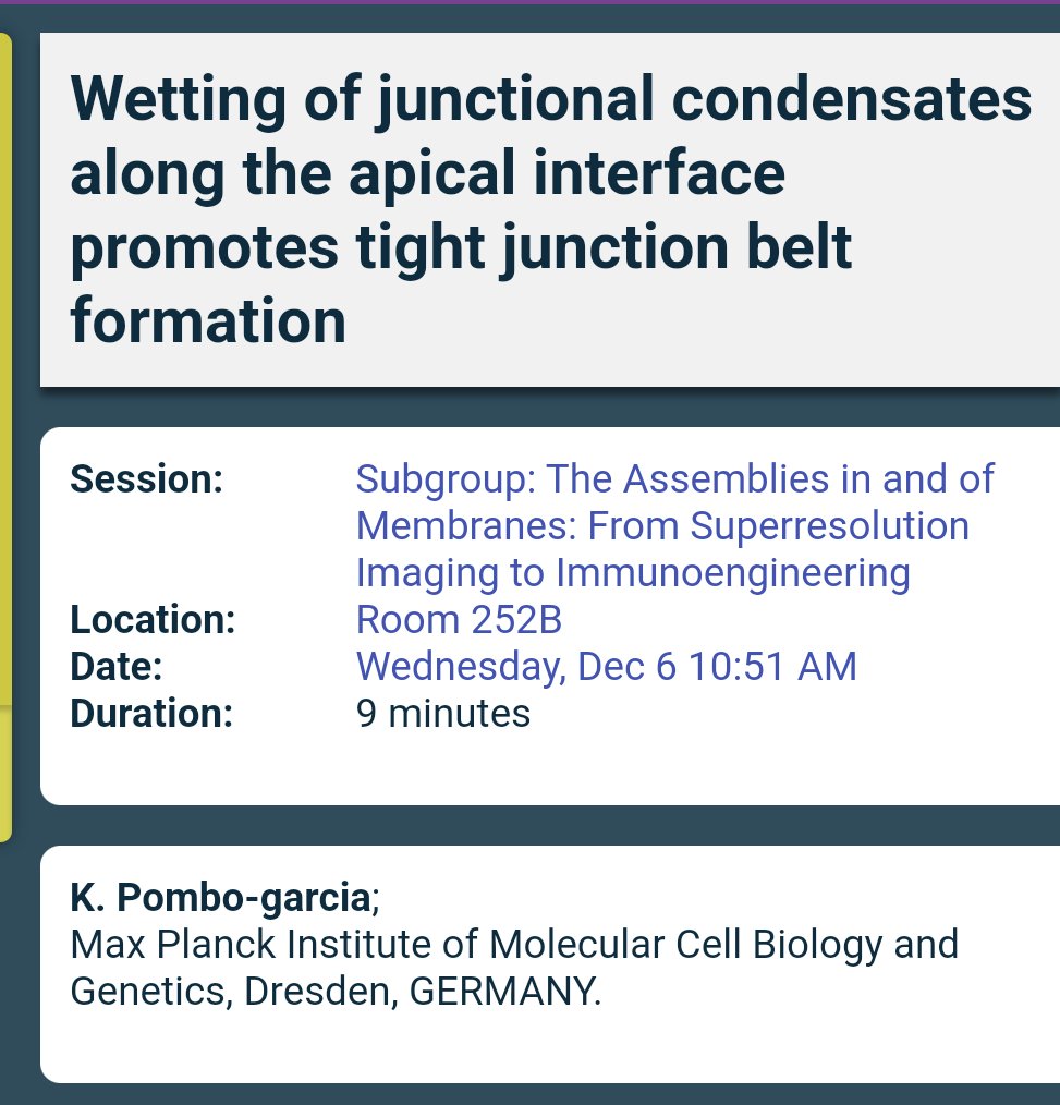 karina_pombo's tweet image. If you are interested in #tightjunctions and/or #condensates I will be presenting our work tomorrow at  #ASCB #cellbio2023