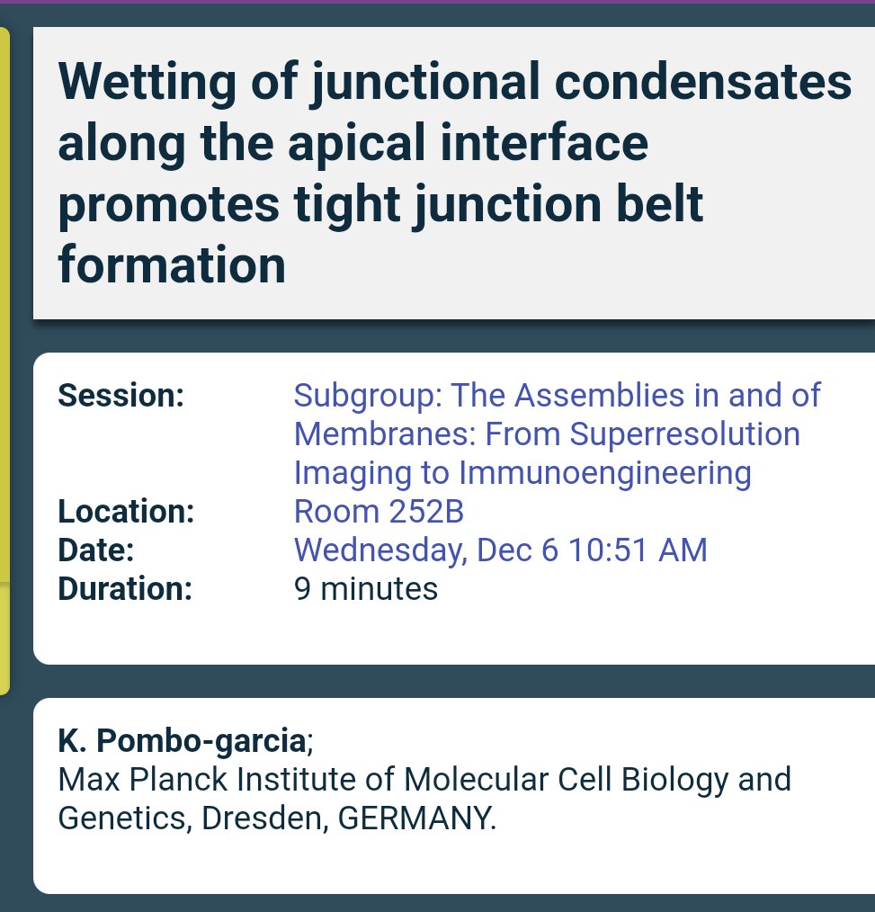 If you are interested in #tightjunctions and/or #condensates I will be presenting our work tomorrow at  #ASCB #cellbio2023