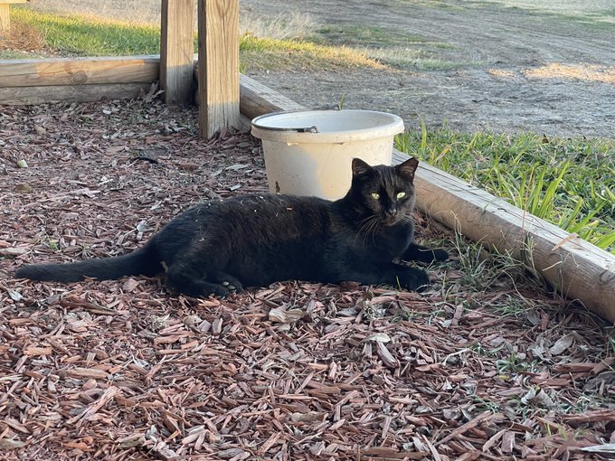 I made a friend today https://t.co/zupm3k2OHX