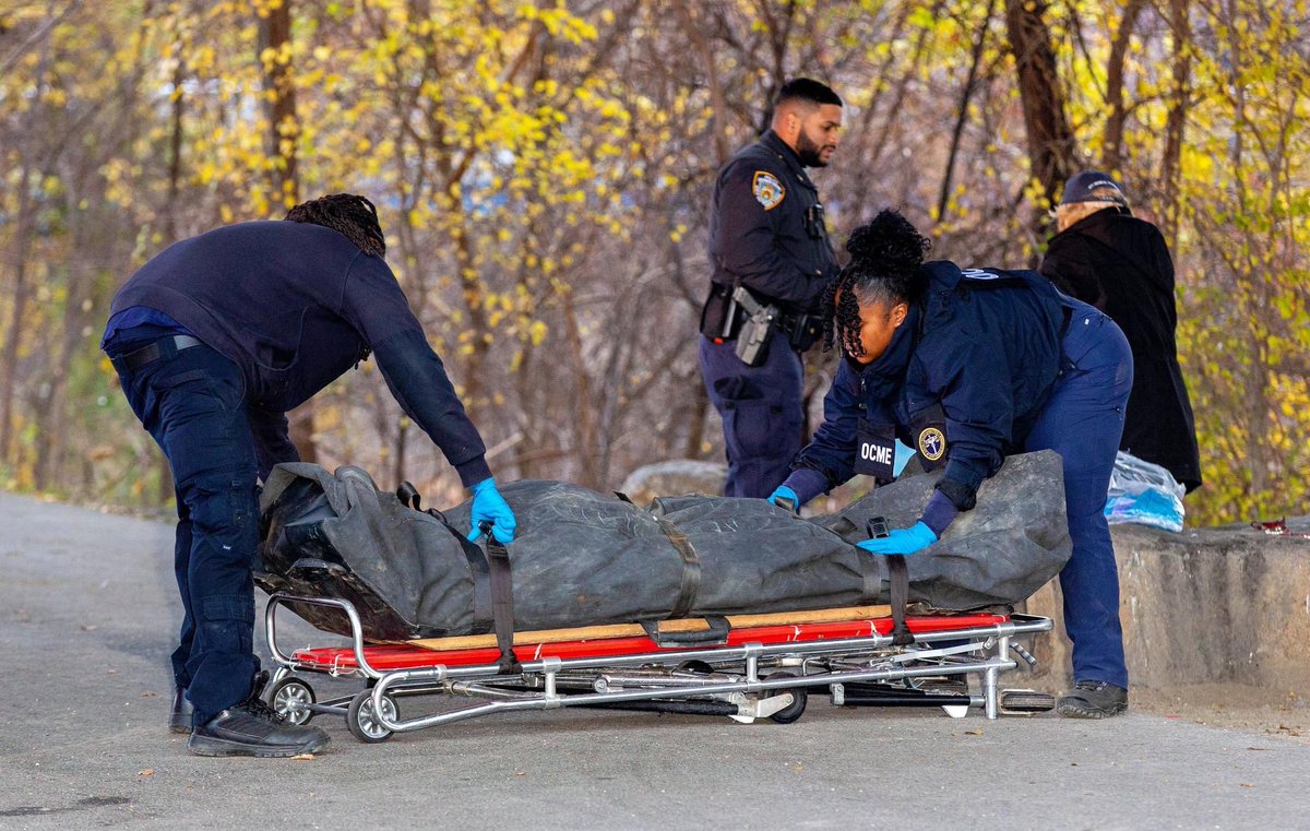 adwimages's tweet photo. December 5, 2023 Body of male  black believed to be in his 40’s found in starlight park in the Bronx around noon . @PIX11News @CBSNews @NBCNews @fox5ny @FoxNews @ABC https://t.co/aT5BQivj5D