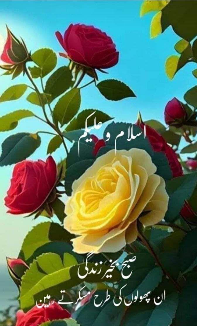 balochlund1's tweet photo. https://t.co/3SG5TsPXuF