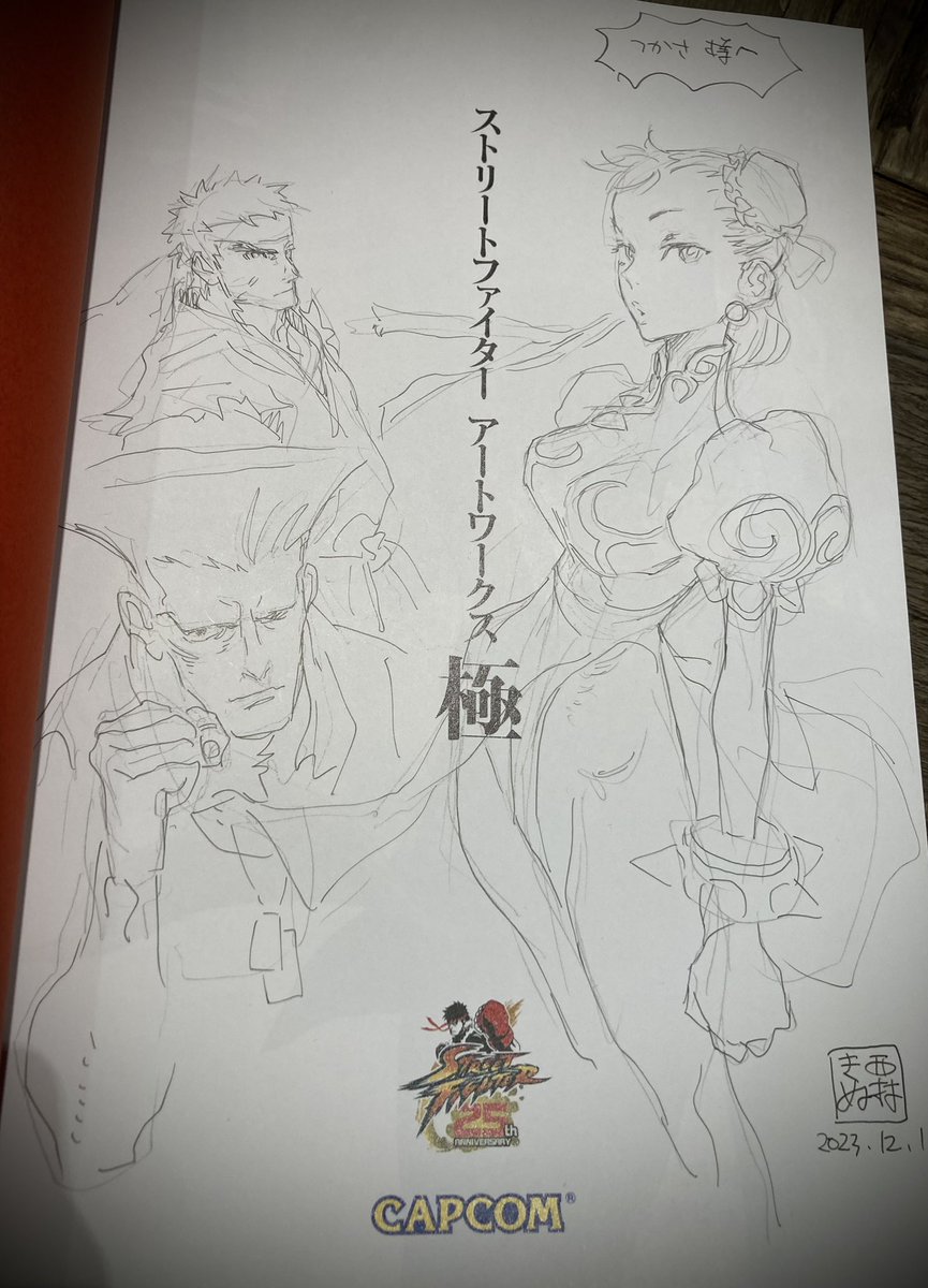 ストリートファイターアートワークス極 ＆ コードオブプリンセスの画集