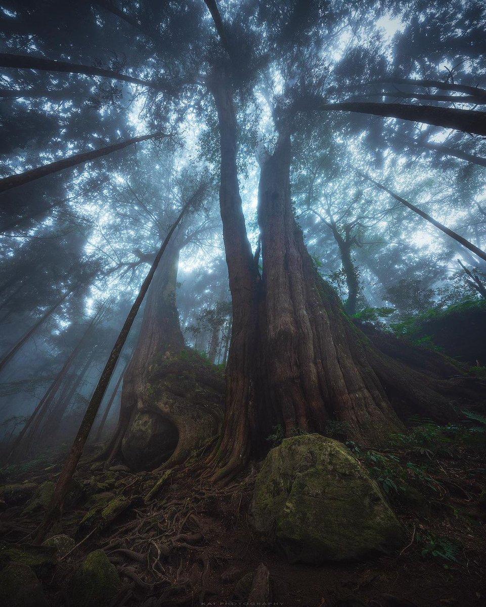 A ᠍heart ⬝that ᠎can ᠎go  anytime, ‍a ᱸpartner who ﾠcan take ᠎photos,  a ᠎sweet journey