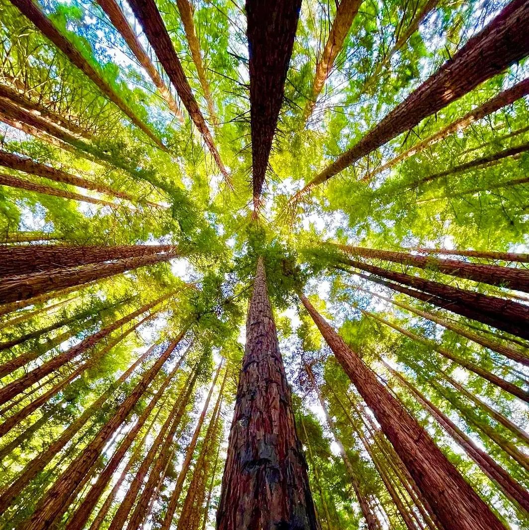 Use  your ᠍footsteps ᠎to ⳿measure ᱸthe ⳿world ᱸand ﾞyour ᱸeyes ​to ⬝record the ᱸscenery