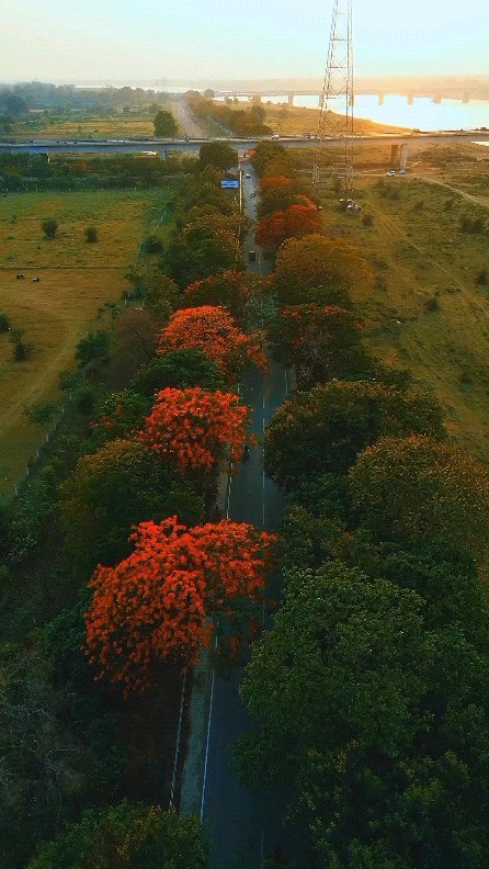 In ⳿this ﾞlife, ᱸevery ᱸjourney is a scenery, ⳿and ​every  thought ⬝can ⳿be ﾠcalm.