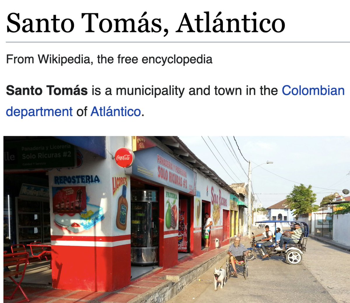 It's cute that the only photo in this stub article shows a guy whose dog is pulling his wheelchair