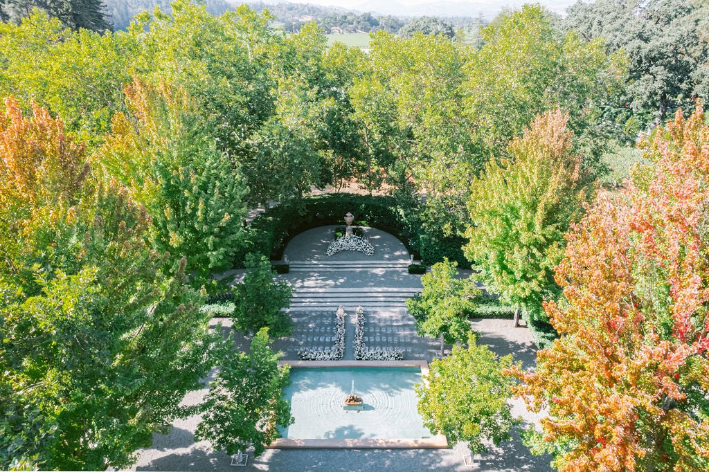 paula leduc tweet media