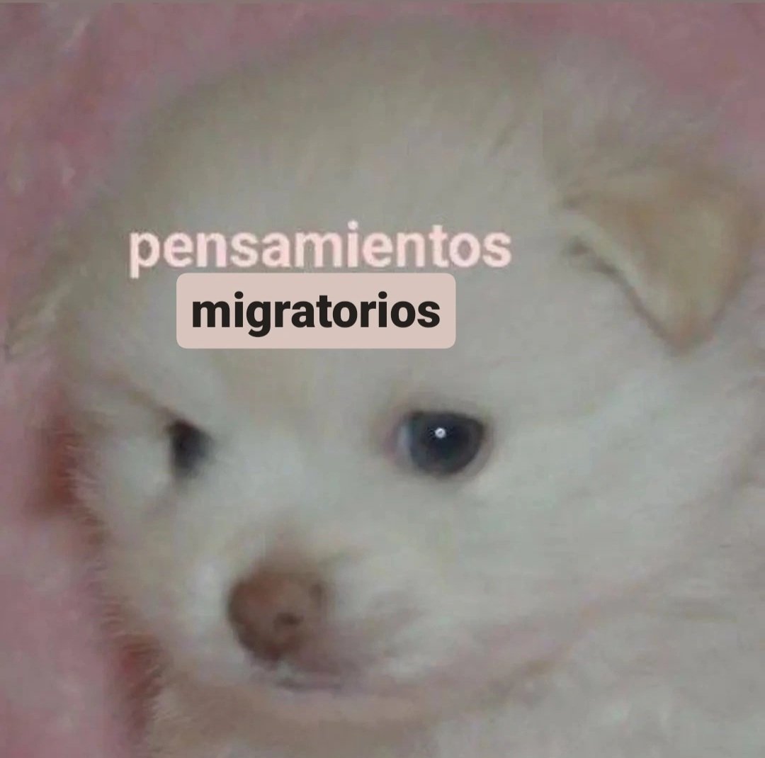 Cada vez que veo la noticias en mi país