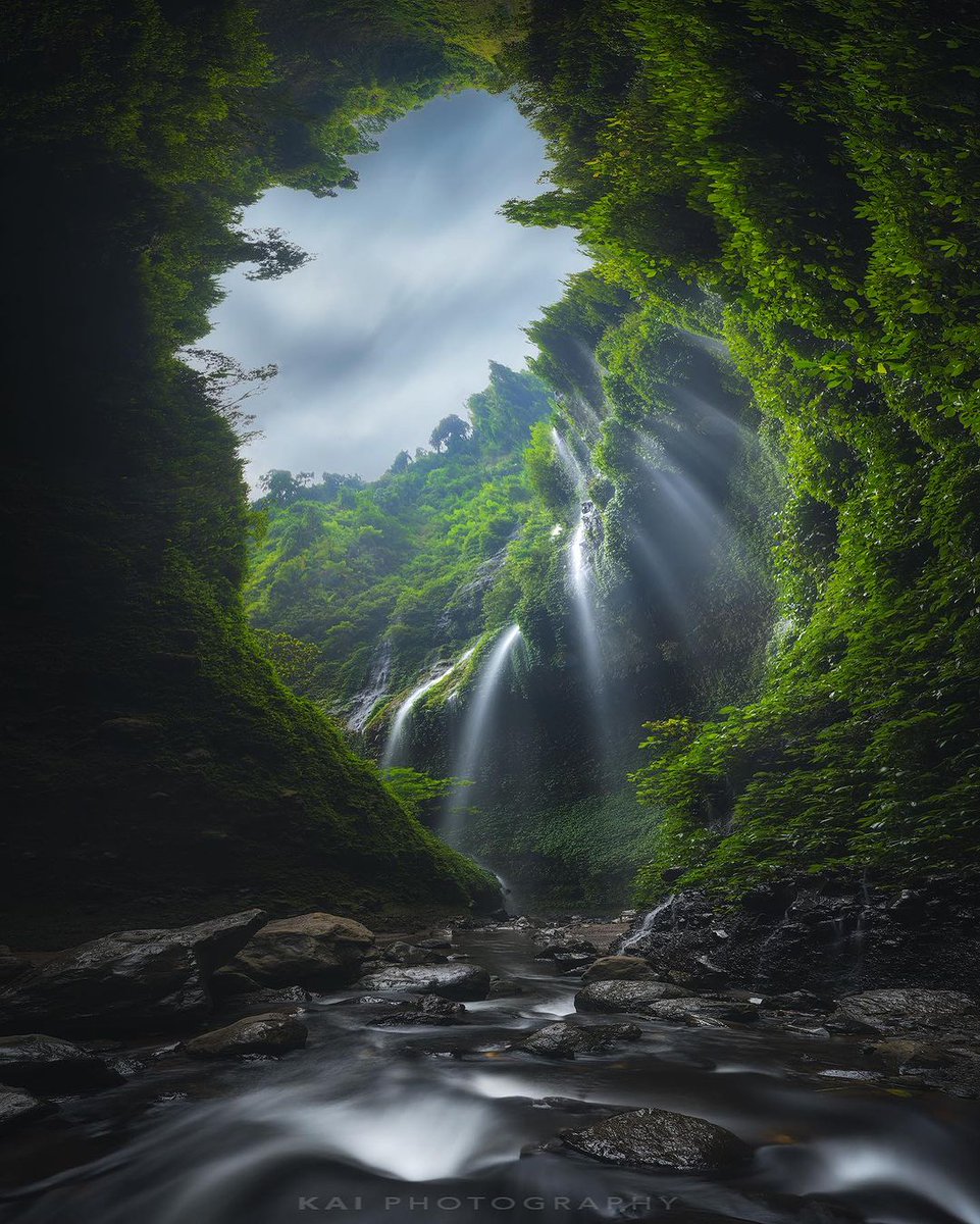 The  flowers ᠎and ‍leaves ᱸare ᠍fragrant, ⳿and  the ⬝beautiful ‍scenery ⳿lasts ⳿morning ⬝and ᠎night