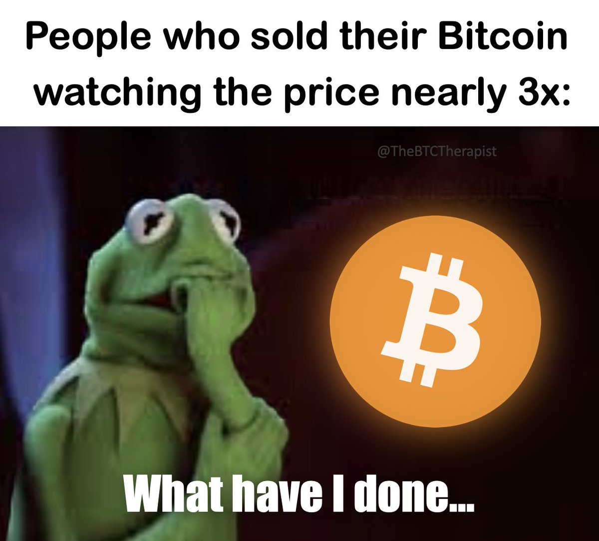 The ₿itcoin Therapist tweet media