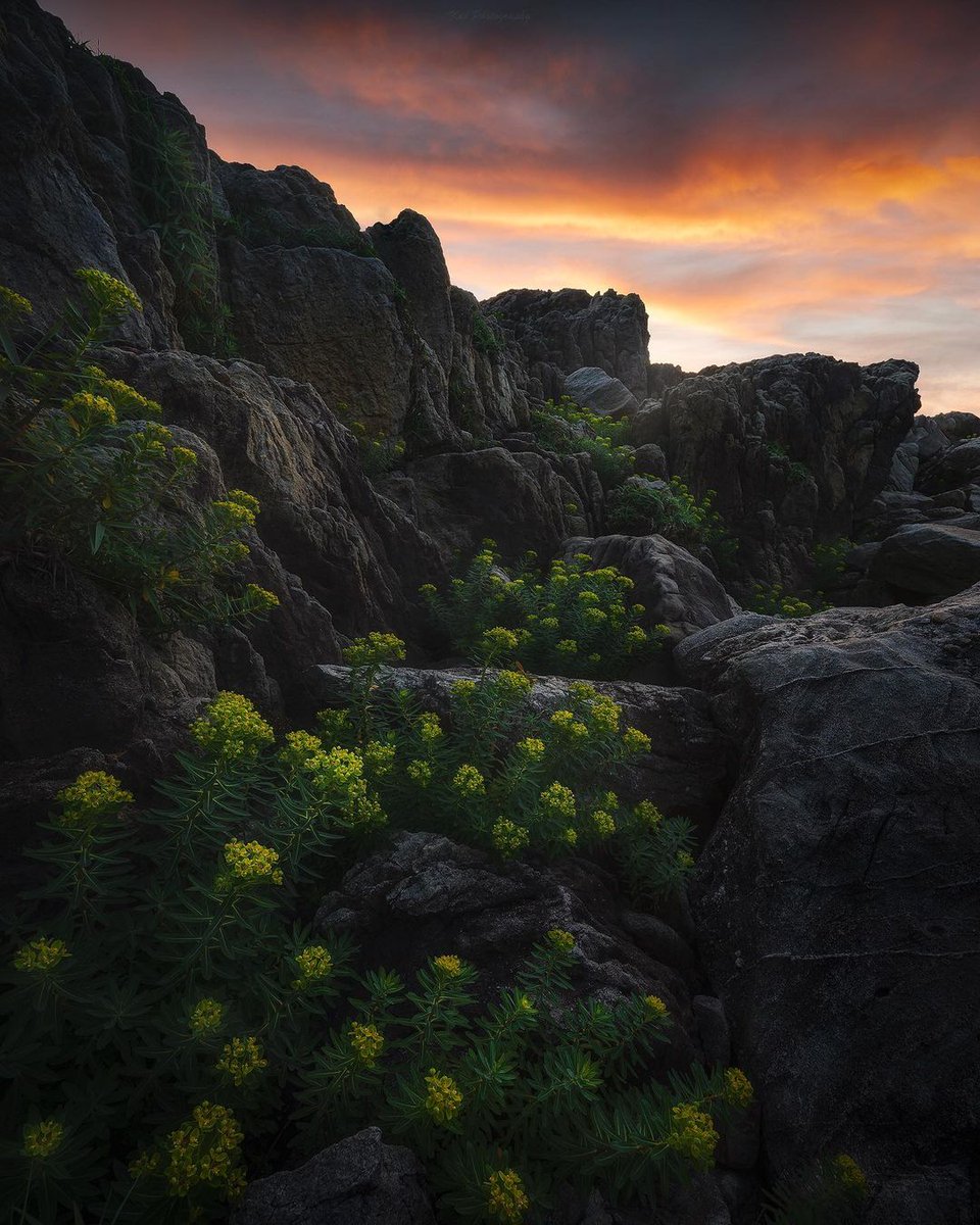 When ﾠyou ‍come ​to this ᠎world, ‍you ​must  make ᠎an ‍effort ﾠto ᠍see ⬝more scenery.