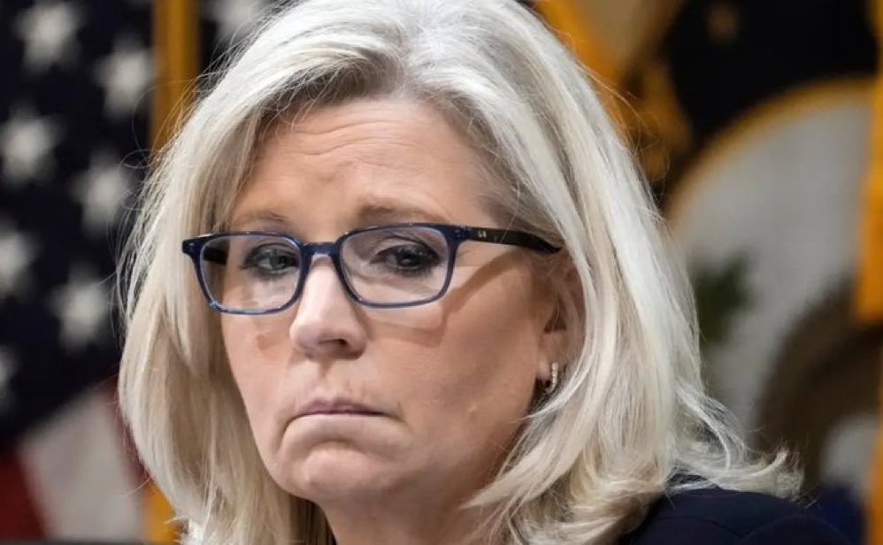 Who else thinks this woman is clinically depressed, perpetually bitter and frigid?