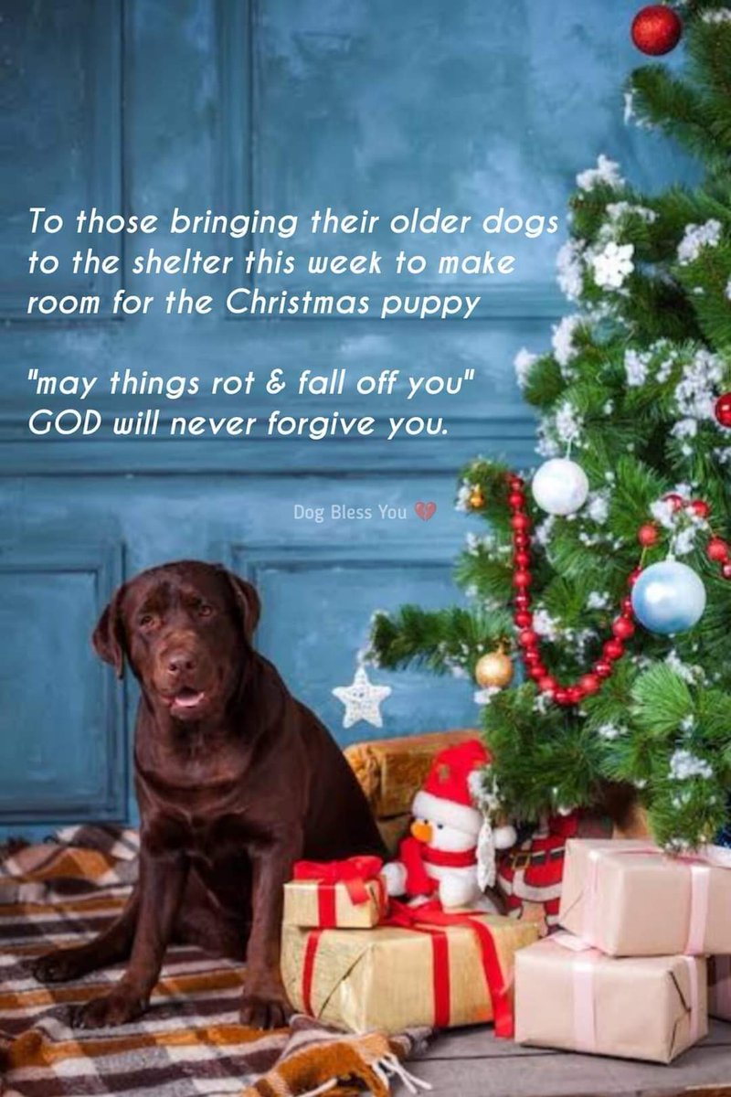 Confessions Of A Serial Wife tweet media