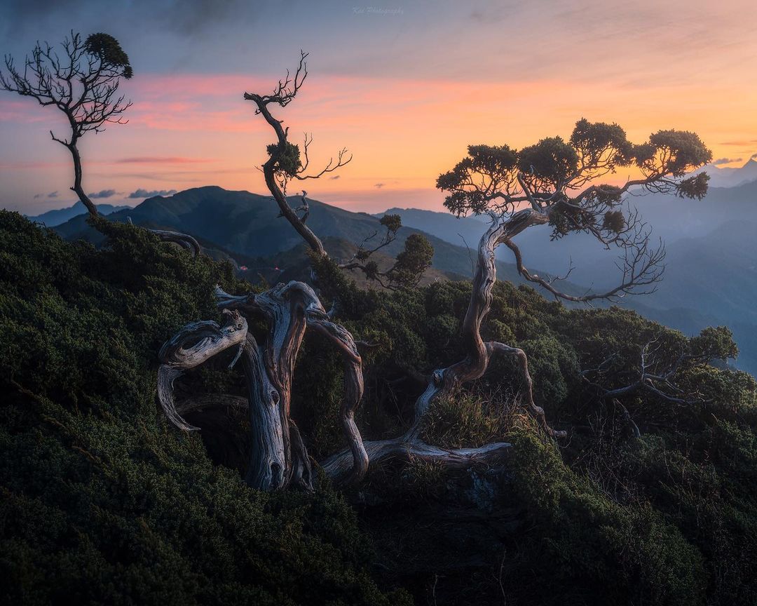 When ⳿people ‍are ᱸtired, ‍they can rest, ‍but ﾠwhen ‍their ⳿hearts  are ᠍tired, ᱸwhat ​should ﾠthey ᱸdo?