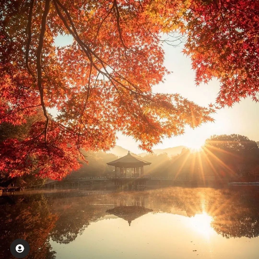 When ‍you ﾞcome ‍to this ⳿world, ⳿you must ᱸmake ﾠan effort ‍to ﾞsee ᠎more ‍scenery.