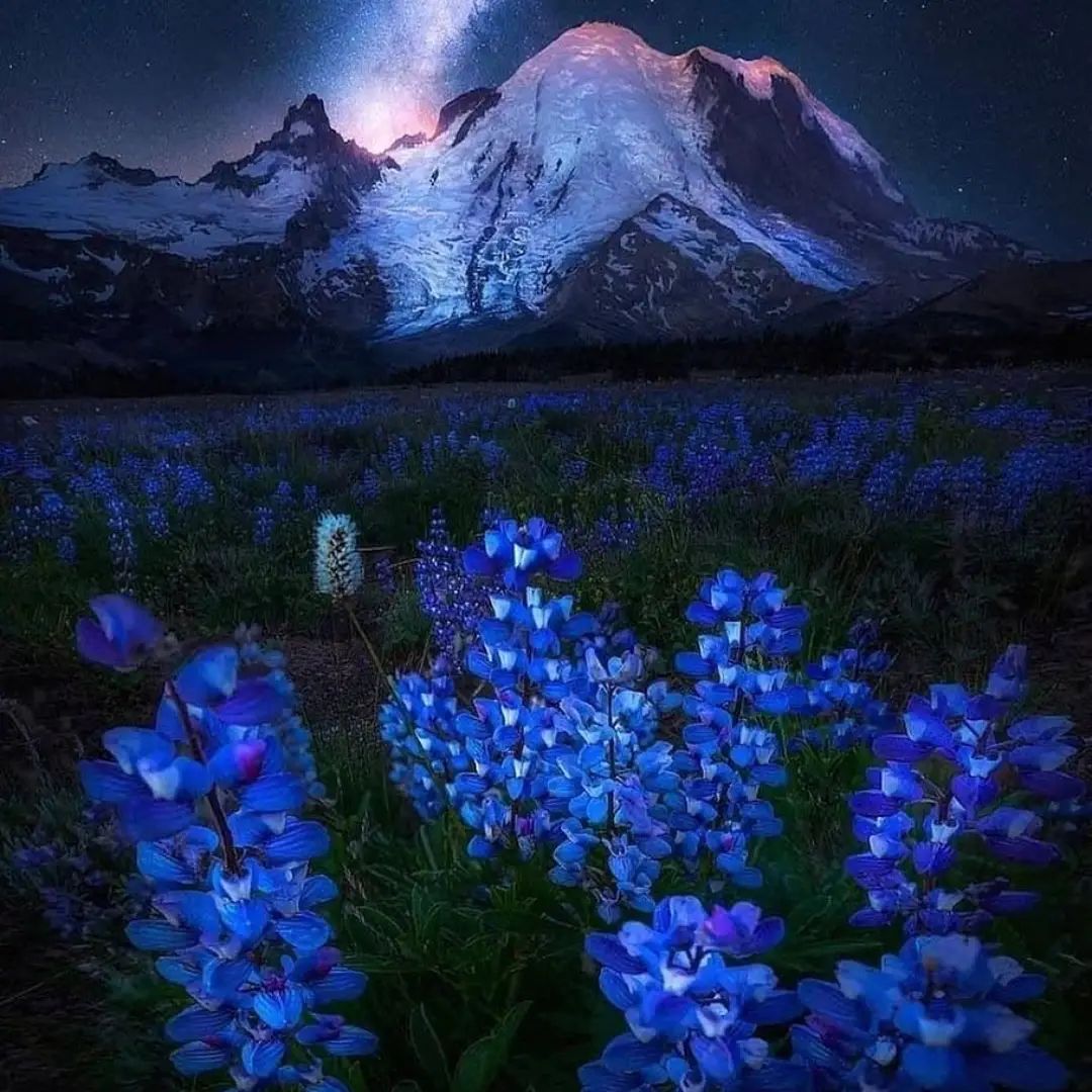 There ᱸis ﾠno ﾞbetter ᠍scenery ​than ᠎in ⬝memory, so  the best  thing ᠍is ᠍not  to revisit the ﾠsame place.