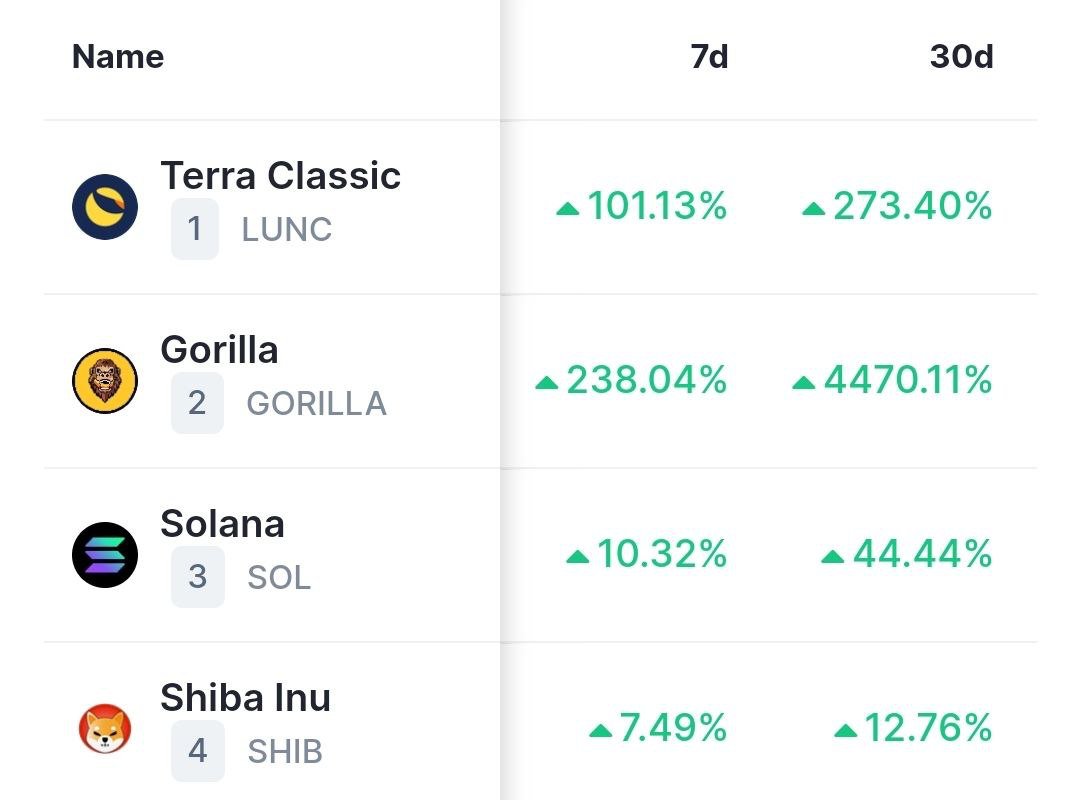 GellerWins97256's tweet image. @King100xGem 

Gorilla token trending # 2 on coin market low total supply low market cap 8 mil great team listed on mexc BitMart soon KuCoin and gate
