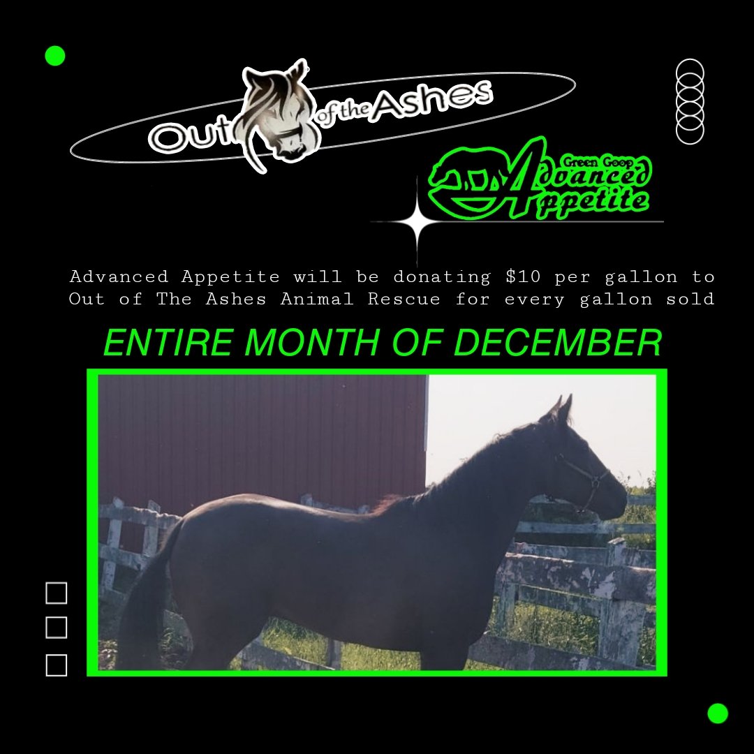 We are happy to announce we have teamed up with Out of the Ashes Animal Rescue. For every gallon of Advanced Appetite sold in December we will donating $10 dollar to Out of the Ashes! #advancedappetite #outoftheashes #charity #horse #rescueanimal #Horses #largeanimalrescue