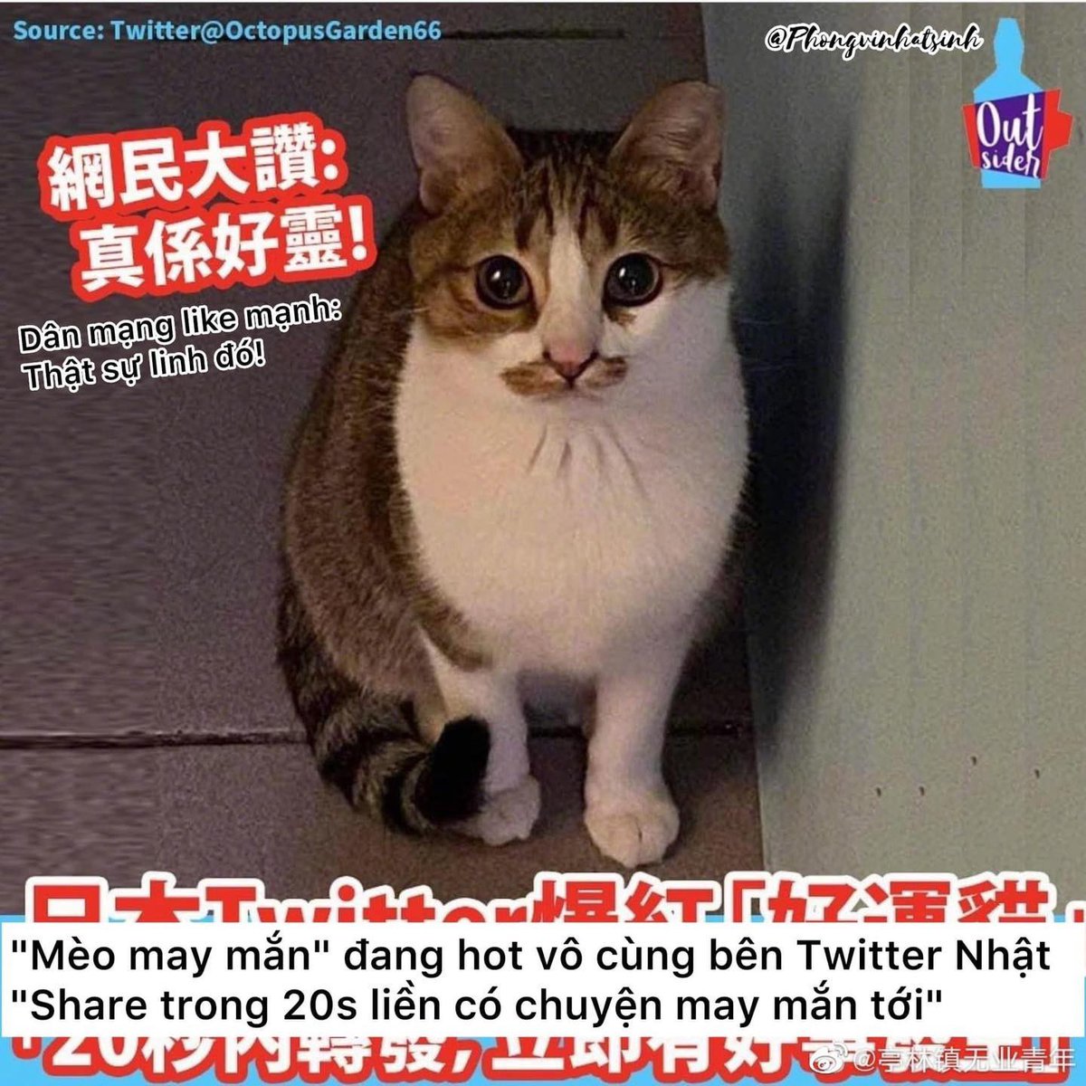 Xuanthu1810's tweet photo. Ngày mới các b đi qua xin vía may mắn nào 🥰
Em chỉ mong thật khoẻ, nhanh hết ốm thôi 🥲 https://t.co/mZnox6rwMn