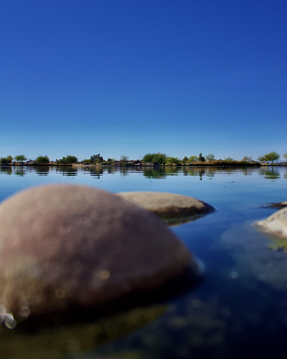 Rayeed_Hoque's tweet photo. Went fishing and got these 🐠

📷 Taken on Canon EOS Rebel T5
Lens: 55-250

#FishingPhotography, #FishingPics, #PhotoFishing, #FishingLover, #FishingPhotos, #NatureFishing, #FishingLife #photography https://t.co/ixTSl8OFYa