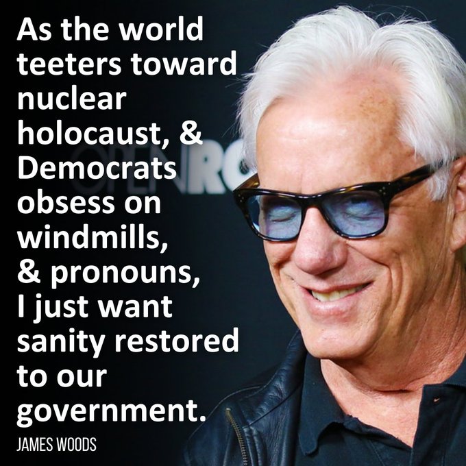 Liana53160's tweet image. I agree 100% with James Woods. Do you?